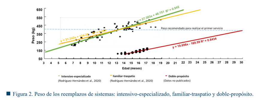 Gráfico, Gráfico de dispersión

Descripción generada automáticamente