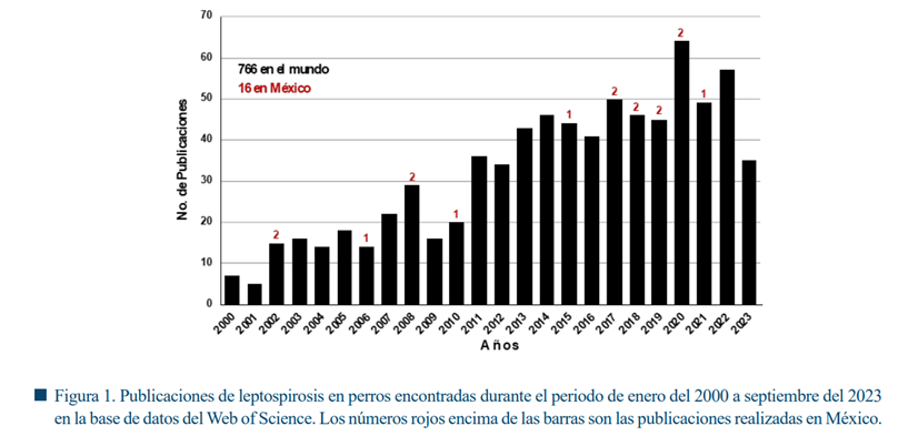 Gráfico, Gráfico de barras

Descripción generada automáticamente