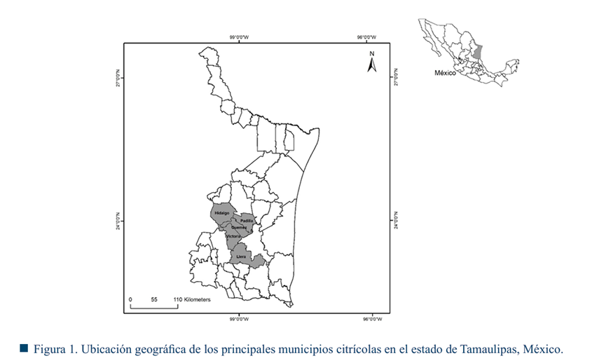 Diagrama

El contenido generado por IA puede ser incorrecto.