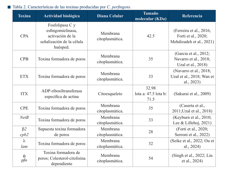 Tabla

El contenido generado por IA puede ser incorrecto.