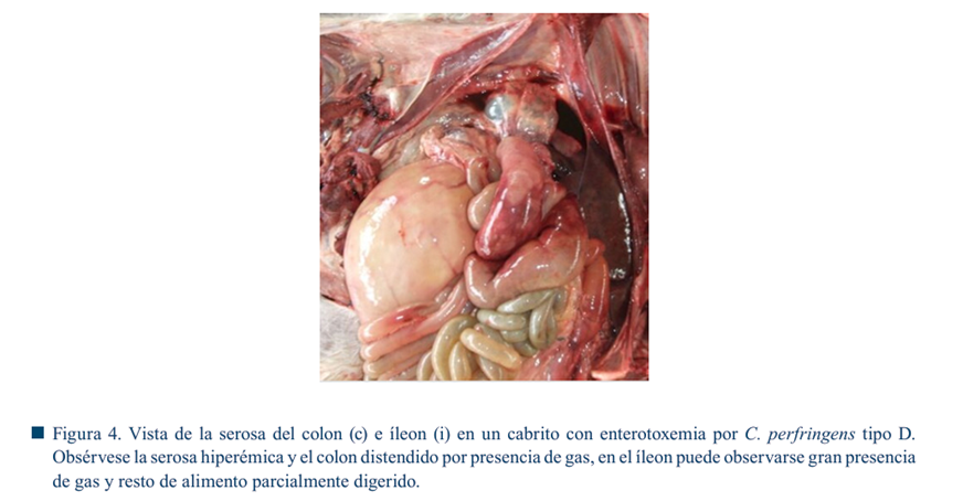 Imagen que contiene alimentos, camarón

El contenido generado por IA puede ser incorrecto.