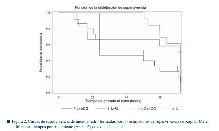 Gráfico

El contenido generado por IA puede ser incorrecto.