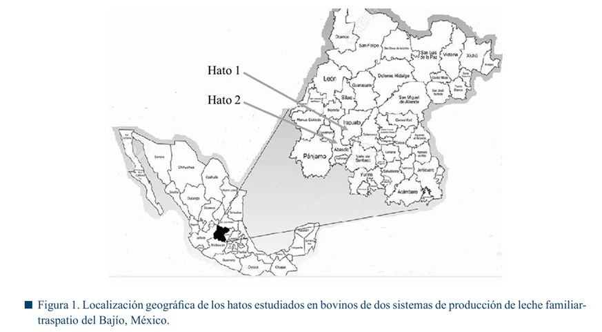 Diagrama
El contenido generado por IA puede ser incorrecto.
