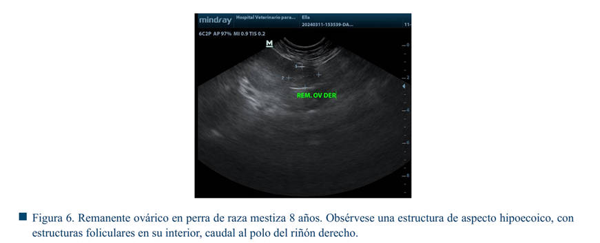 Interfaz de usuario gráfica

El contenido generado por IA puede ser incorrecto.