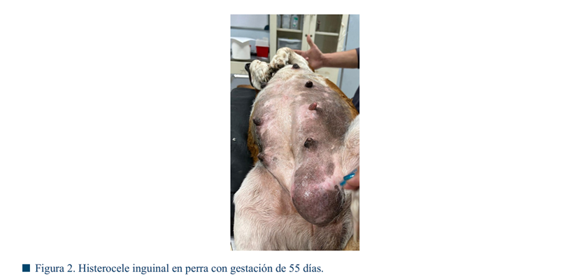 Imagen que contiene foto, viendo, hombre, vistiendo

El contenido generado por IA puede ser incorrecto.