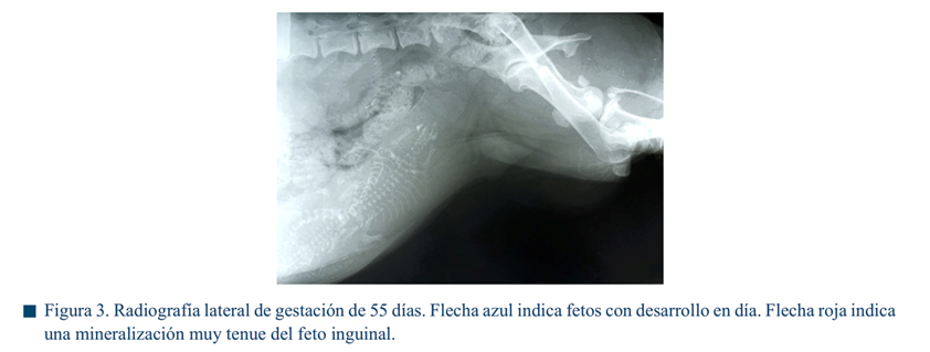 Interfaz de usuario gráfica

El contenido generado por IA puede ser incorrecto.