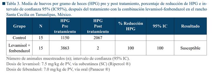 Tabla, Escala de tiempo

Descripción generada automáticamente